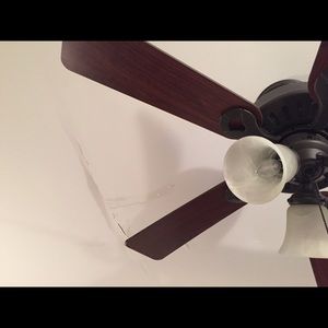 Meet your Posher, Lynn